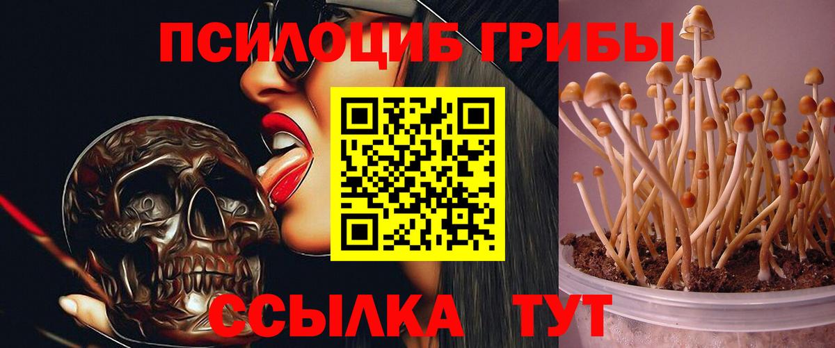 Псилоцибиновые грибы мицелий  Вход с VPN  что такое наркотик  Протвино 